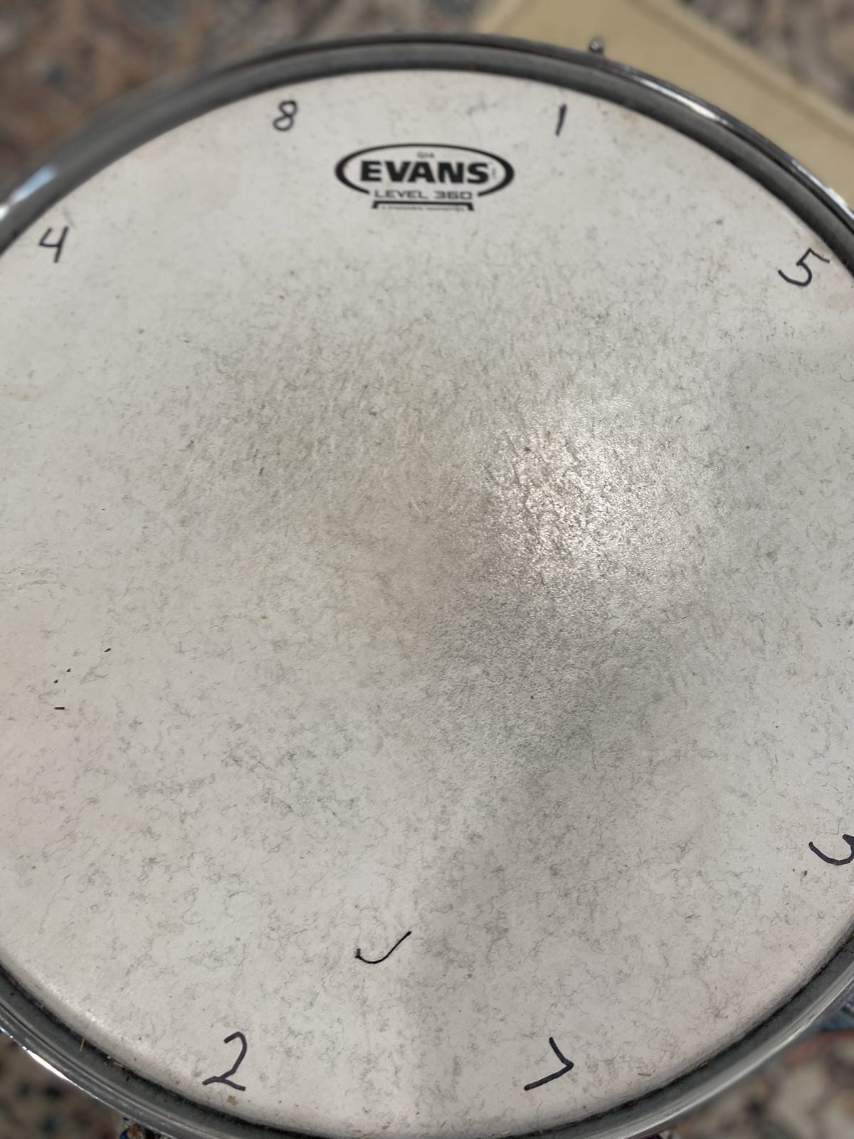 Ludwig Legacy Maple 5x14 Snare Drum - Sky Blue Pearl